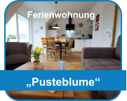 „Pusteblume“ Ferienwohnung